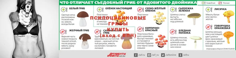 Галлюциногенные грибы мухоморы  Мегион 